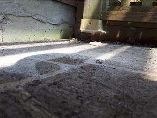 Settling stamped concrete Slab  in Oshawa, ON