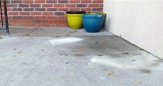 Tripping Hazard at Daycare Centre in Brampton, Ontario