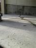 Garage Floor Leveled and Sealed, Richmond Hill, ON