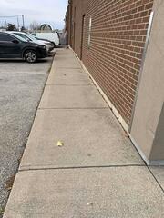 Safe, Level, and Durable: Restoring a Commercial Sidewalk
