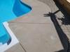 Staying Cool, In The Pool - Photo 2
