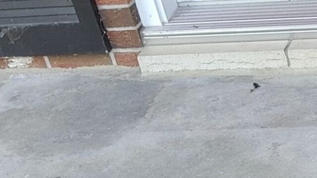 Small Step, Big Impact: Concrete Repair in Huntsville, Ontario - After Photo